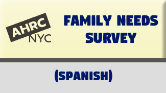Survey Spanish